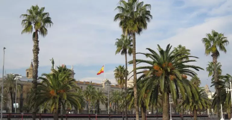 A property with palm trees.