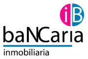 A blue and pink logo with the word dbi.