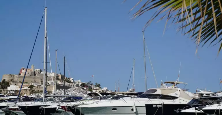 A palm tree in the Ibiza real estate market.