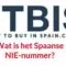 Wat is het NIE-nummer in Spanje?