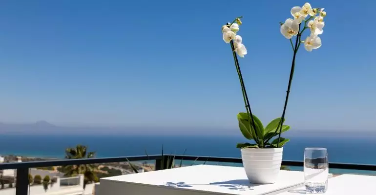 Alicante property for sale with a white table and a vase of flowers.