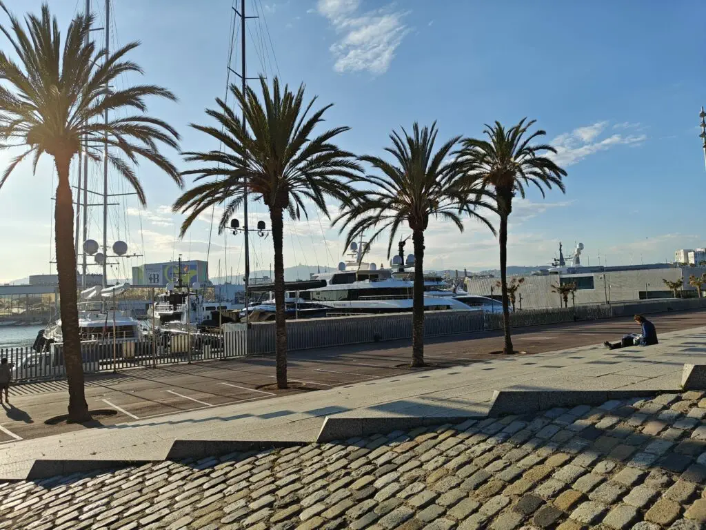 Palm trees line a marina walkway with yachts docked in the background; a person sits on the pavement under clear skies, savoring the relaxed vibe often sought by those exploring temporary rentals Spain.