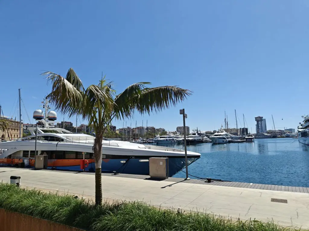 A marina with several yachts docked, a palm tree in the foreground, clear blue sky, and city buildings in the background—perfect for those exploring Temporary rentals Spain.
