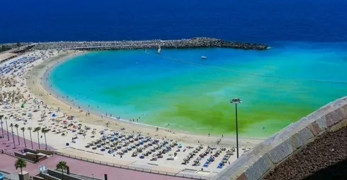 An aerial view of a beach with umbrellas and chairs, featuring popular property transactions in Spain.