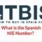 What is the spanish nie number?.